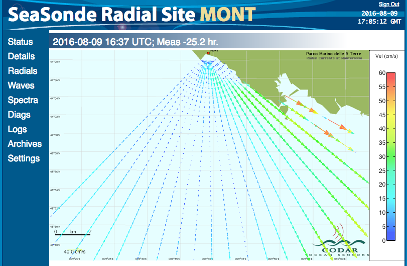 radials 24h